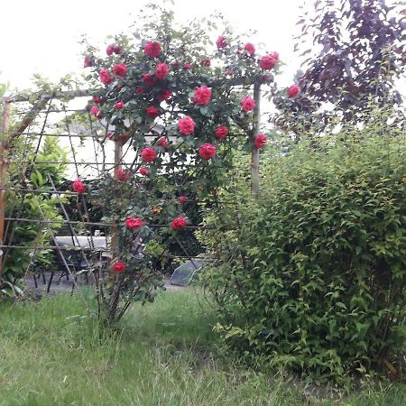 Apartamento Gartenblick Graal-Mueritz Exterior foto