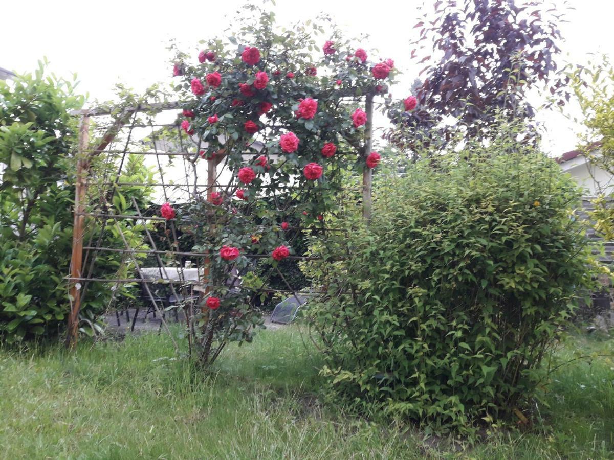 Apartamento Gartenblick Graal-Mueritz Exterior foto